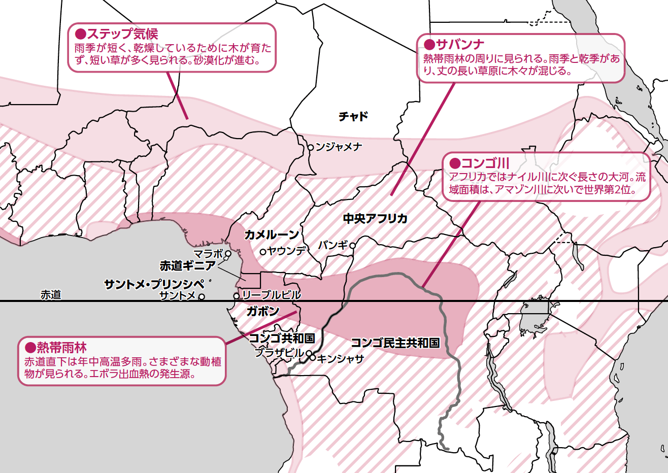 リモートセンシング remote sensing 衛星画像 ニジェール川