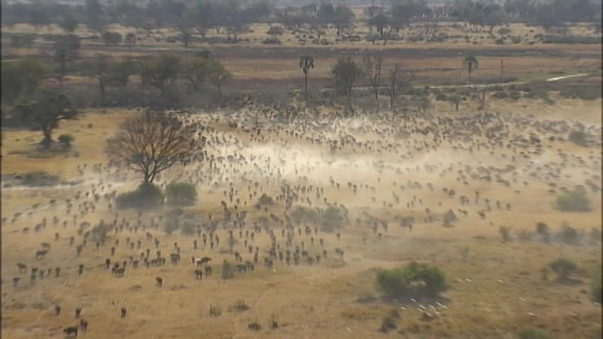 寄り道しながら学ぶ世界遺産検定 with my favorite world