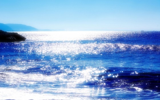 とっておきのお店や観光スポットを紹介日本海洋教育スポーツ振興協会