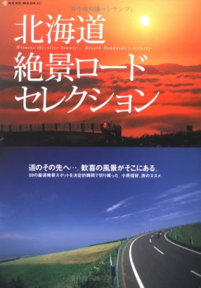 絶景ロード 北海道の白い道』稚内 北海道 の旅行記・ブログ by