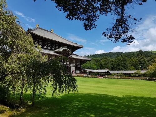 奈良公園の社寺めぐり東大寺・興福寺・春日大社なら・観光ボランティアガイドの会「朱雀」