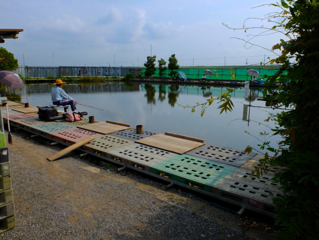 2019 01 06 日弥五郎沼
