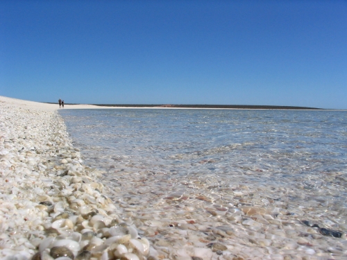 女子ソロ オーストラリア一周ツーリング⑥西海岸編Mio's Garage