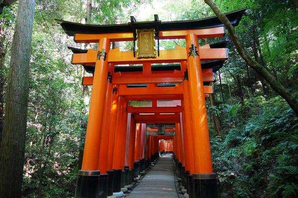 伏見稲荷大社 ふしみいなりたいしゃ の見どころと行き方 京都の神社Japan's