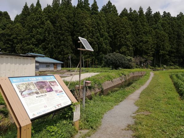 丸池様の行き方ガイド車でのアクセス・駐車場情報と青く神秘的な池の魅力 山形県遊佐町- 47の記憶