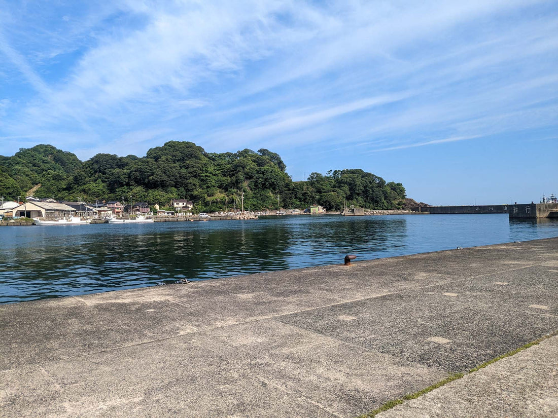 アメリカ合衆国の州・特別区・海外領土ビジネスハック 戦略 経営 会計