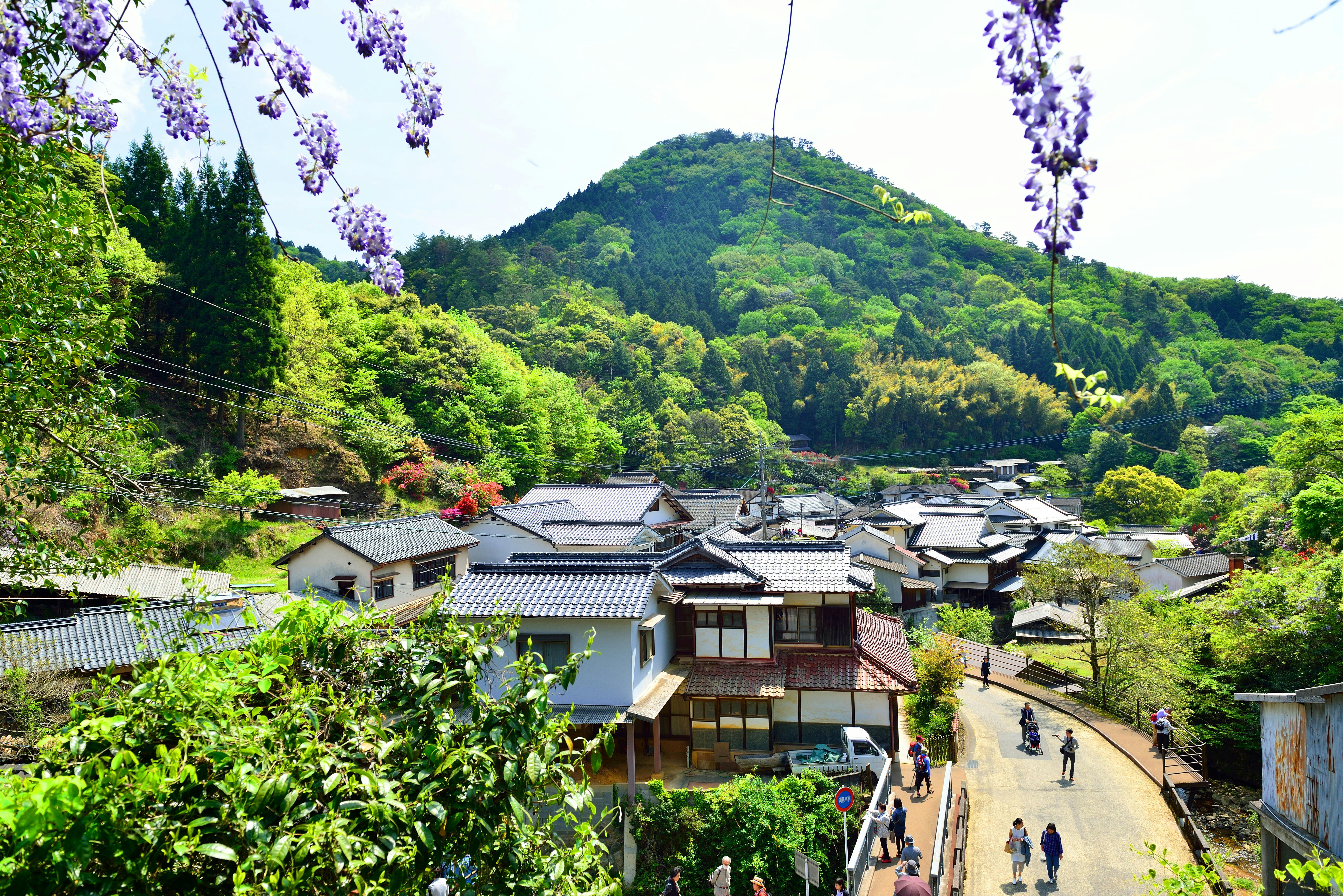 現地スタッフ厳選！別府のおすすめ観光スポット17選楽天トラベル