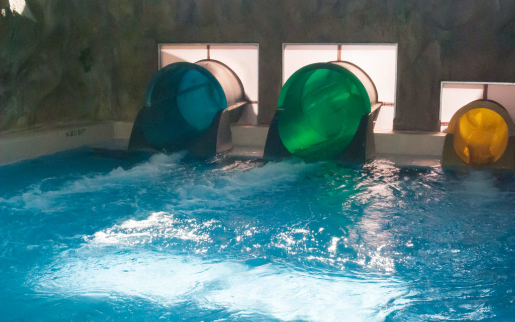 カリビアンビーチ」関東最大級の屋内プール！アクセスや割引方法・持ち物を徹底解説群馬県桐生市 - たびのおと