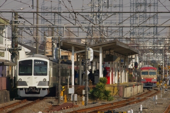 ほぼ日、なにしてる？ - ほぼ日