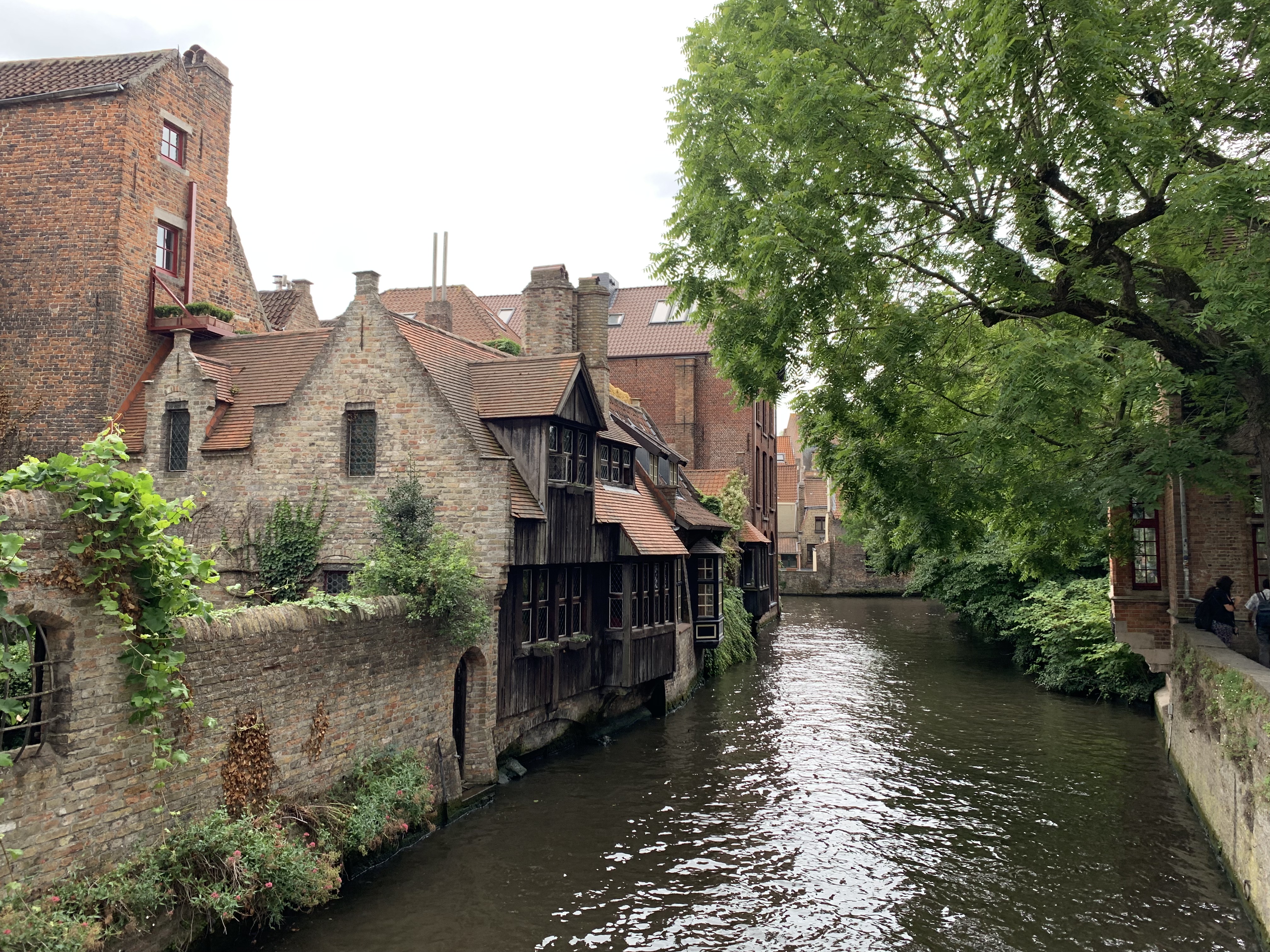 ＮＨＫ 世界ふれあい街歩き on X:
