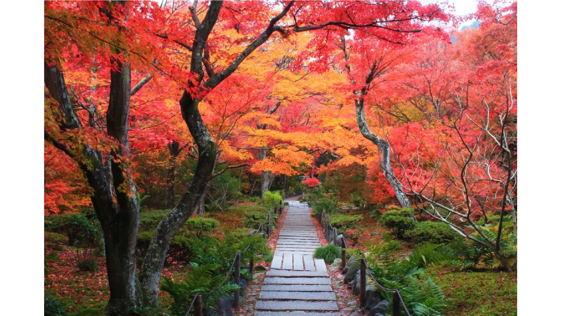 宝筐院 京都市公式 京都観光Navi