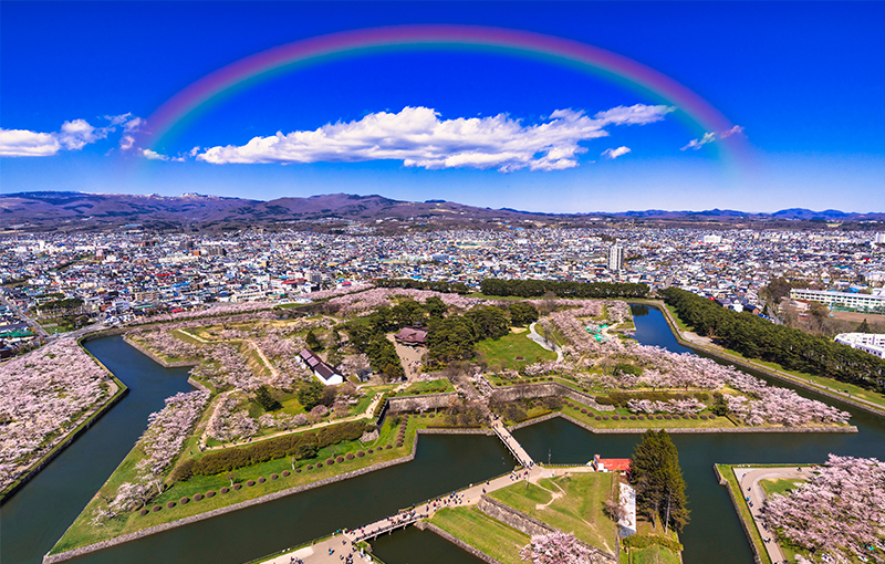 絵画風 壁紙ポスター 五稜郭と満開の桜 さくら 函館