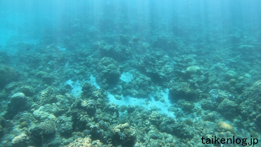 コペペ海岸 の周辺スポット・アクセス・口コミ - Prism Japan