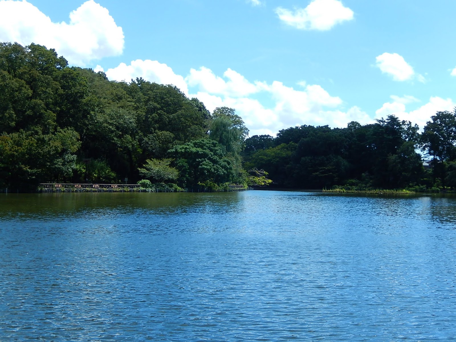 善福寺川スチュワーデス殺人事件の謎アラムー♡クマのブログ