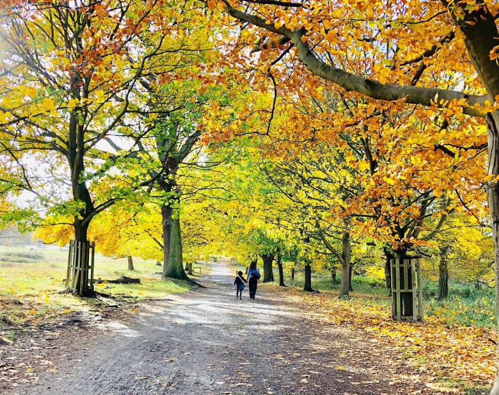 リッチモンドに関する旅行記・ブログ フォートラベル イギリスRichmond