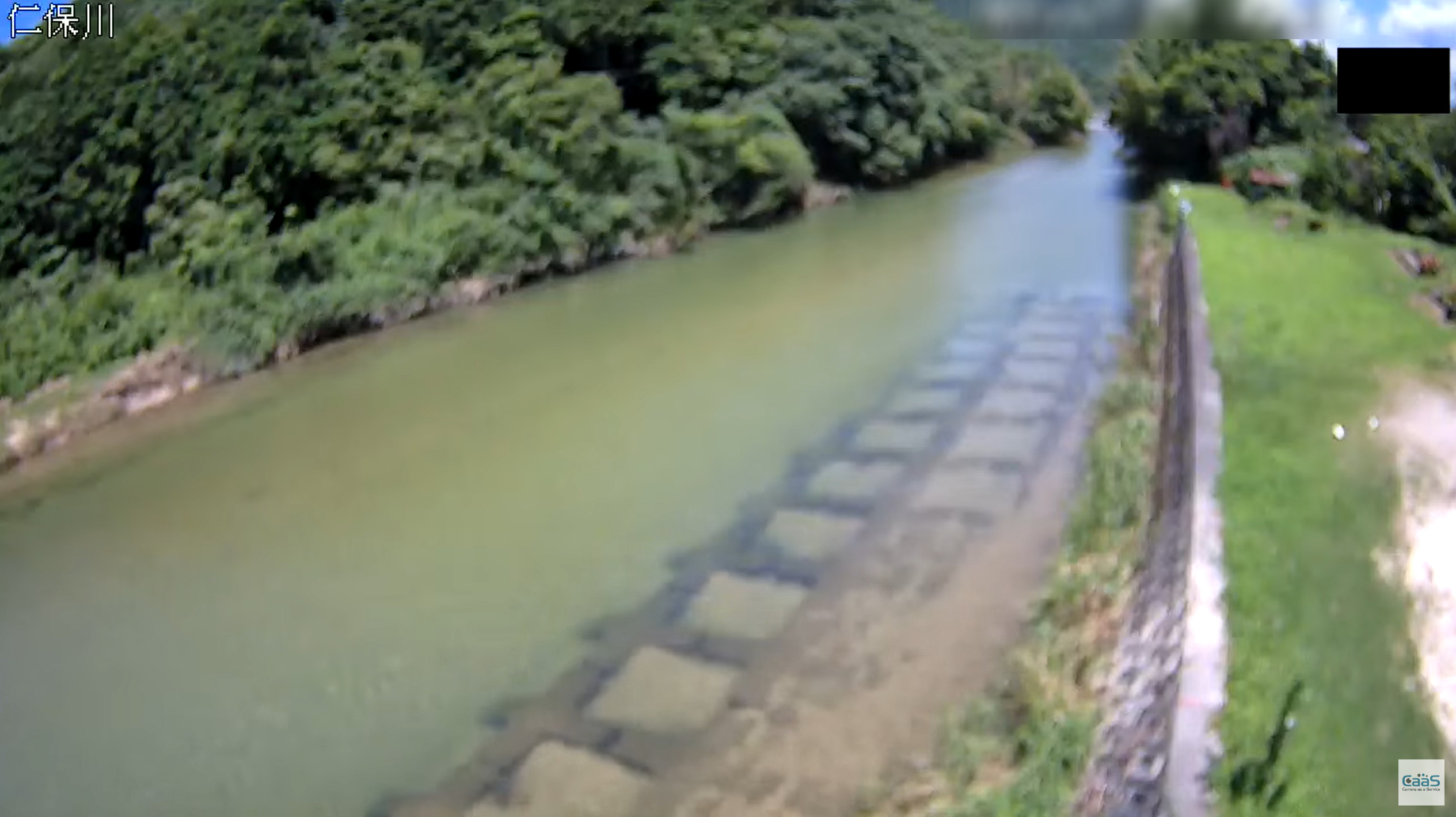 2025年GW 山口県で見たい！絶景鯉のぼりスポット3選♪