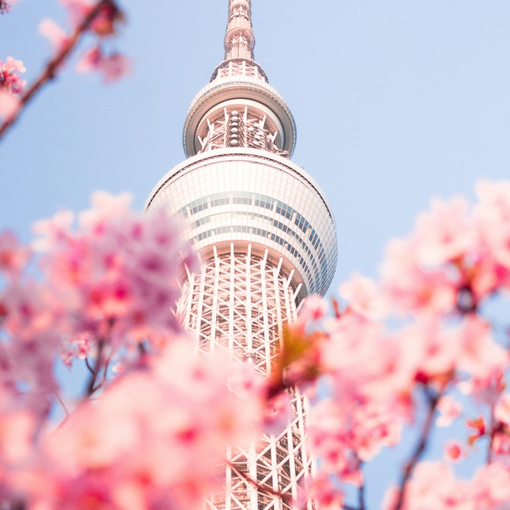 東京スカイツリータウンについて東京ソラマチ
