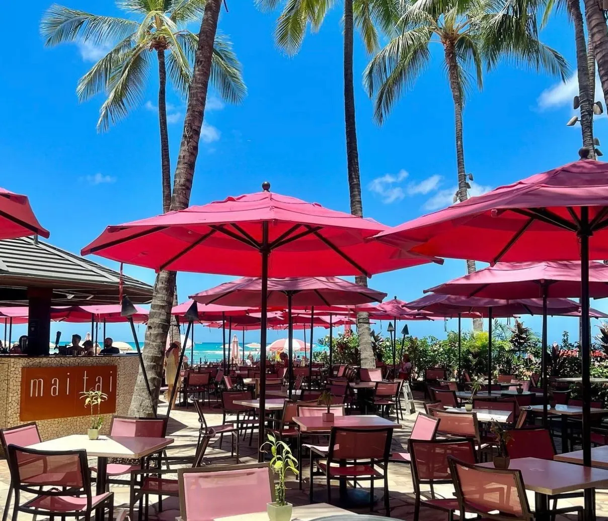 2024最新 ハワイでディナーにおすすめのレストラン17選人気から穴場までNEWT ニュート