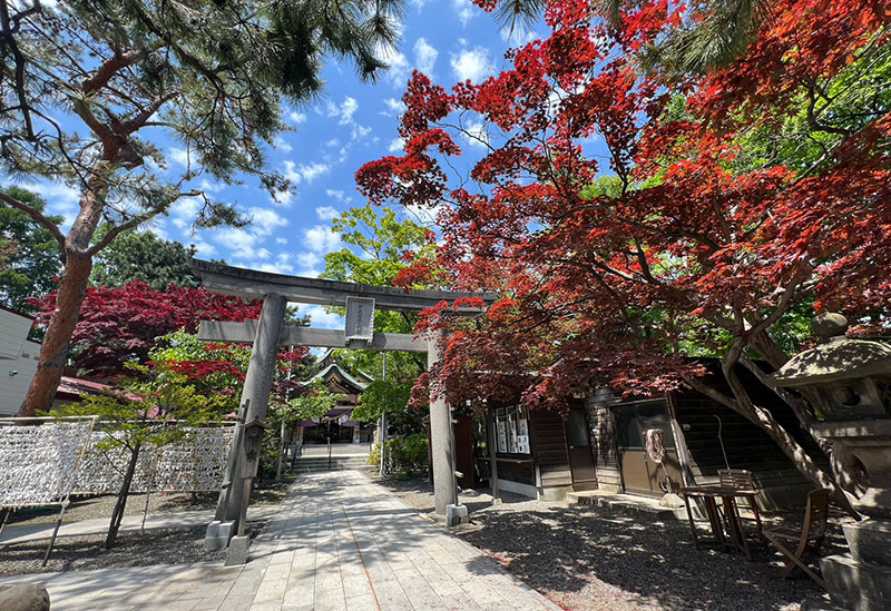 彌彦 弥彦・伊夜日子 神社は札幌有数の合格祈願・学業成就のパワースポットKitaiko