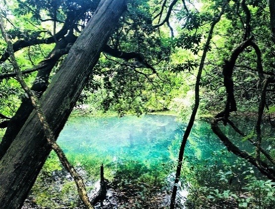丸池様へのアクセス・駐車場・トイレについて写真付きでご案内んだんだ庄内