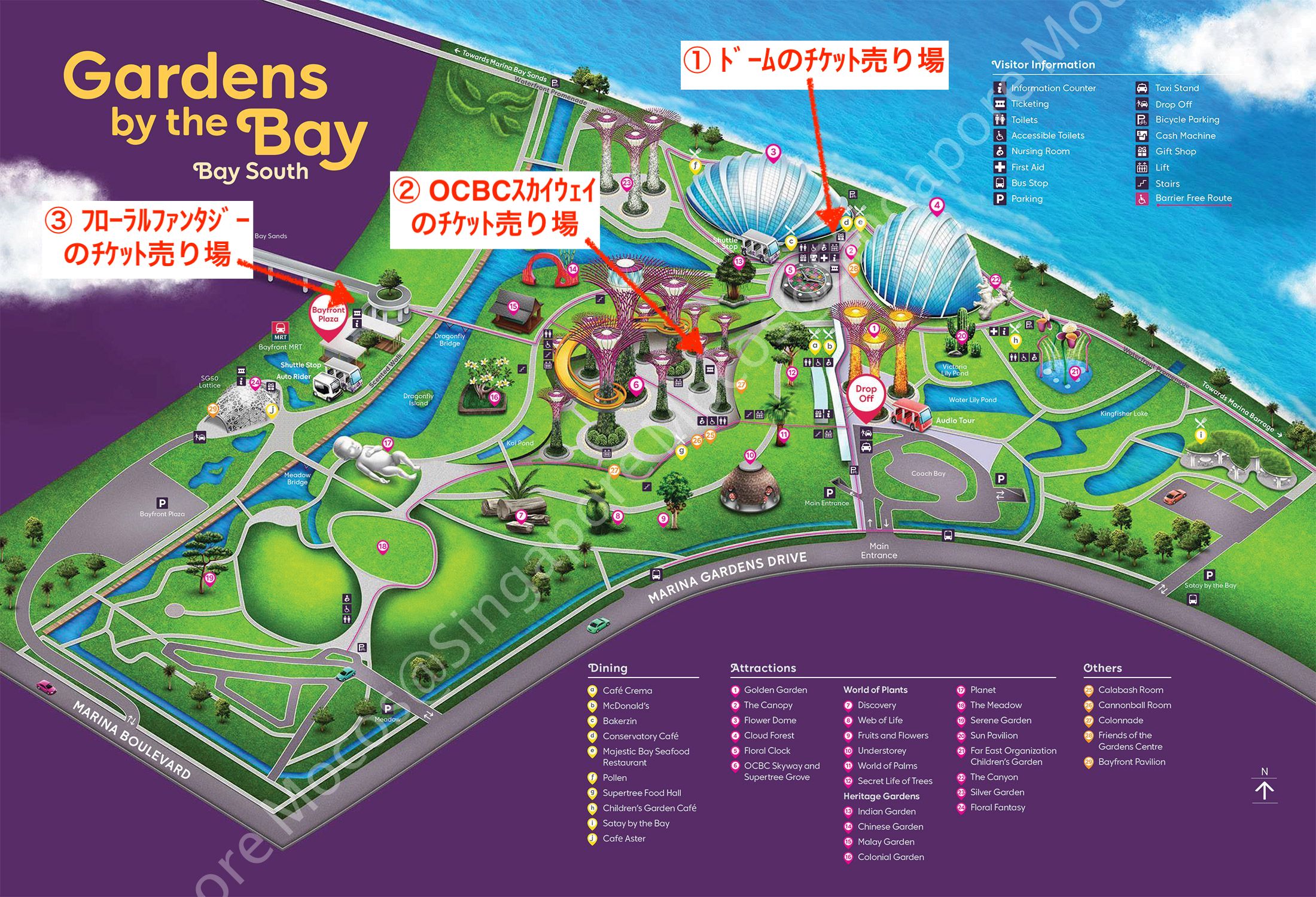 在住者が教える ガーデンズ・バイ・ザ・ベイ フラワーガーデンの見どころ・おすすめチケット