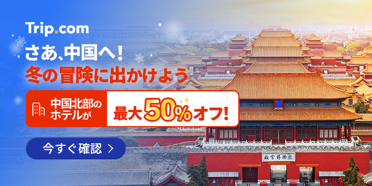 中国でもおそらく重慶だけ！市内移動専用新幹線