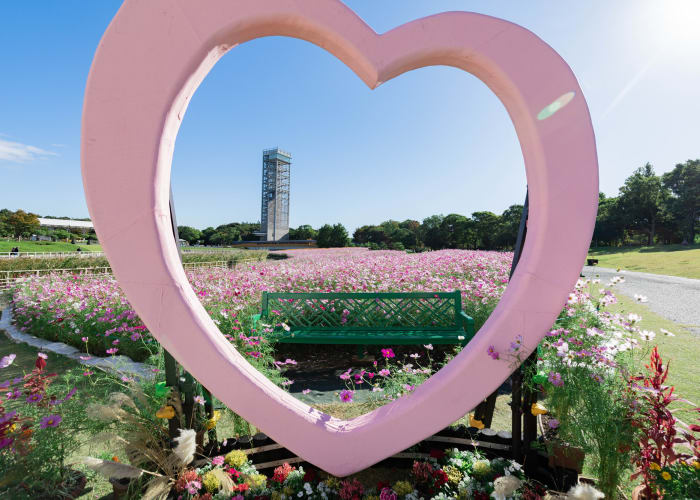 静岡 カップルにおすすめのデートスポット21選！絶景や1日中楽しめる施設も じゃらんニュース