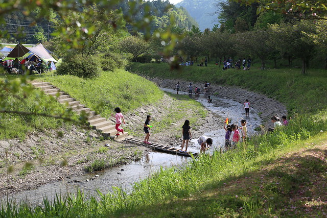 いつもありがとうございます！, 知明湖キャンプ場のせせらぎサイトには, このような綺麗な川が流れていて晴れた日は連日,子供達が川遊びを楽しんでいます😄, 是非ご家族で遊びに来てください！,知明湖キャンプ場関西キャンプ場キャンプ好きと繋がりたい川遊びキャンプアウトドア女子家族キャンプ兵庫キャンプ大阪キャンプキャンプ図鑑