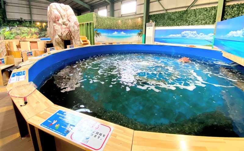 神奈川 家族・子連れで楽しめる釣り堀12選！おすすめポイントや釣れる魚も紹介 じゃらんニュース