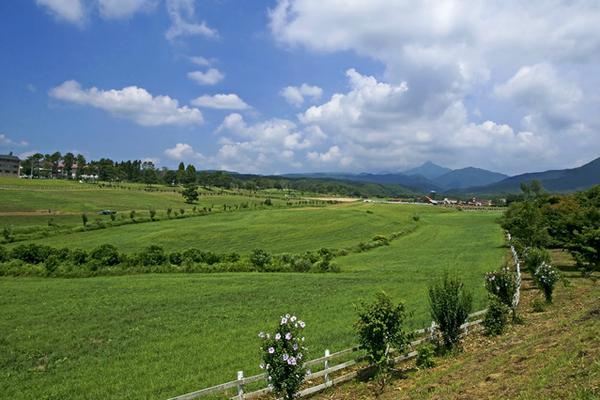 蒜山大山スカイラインの紅葉を楽しむ日帰りドライブコースモデルコース岡山観光WEB 公式 - 岡山県の観光・旅行情報ならココ