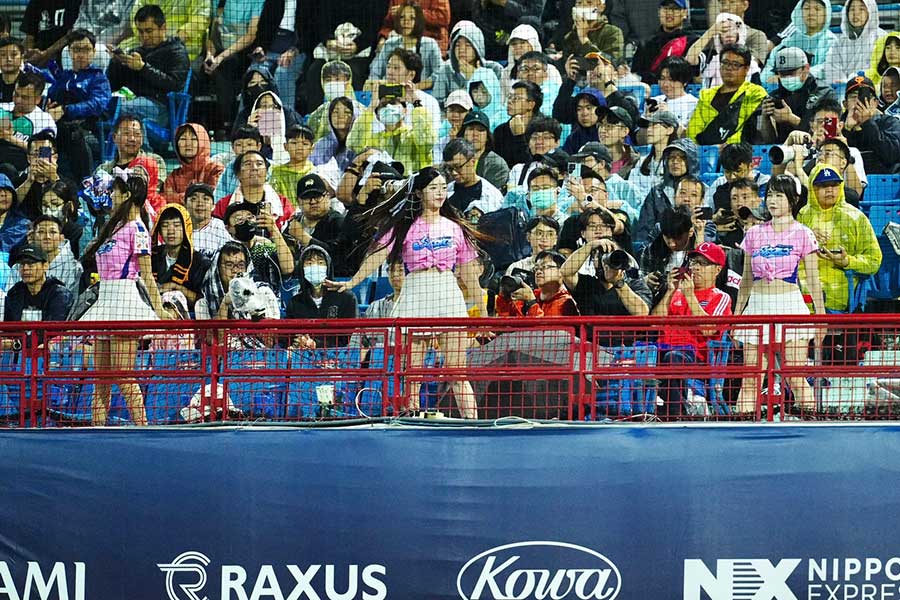 台北市天母棒球場ふじものブログ