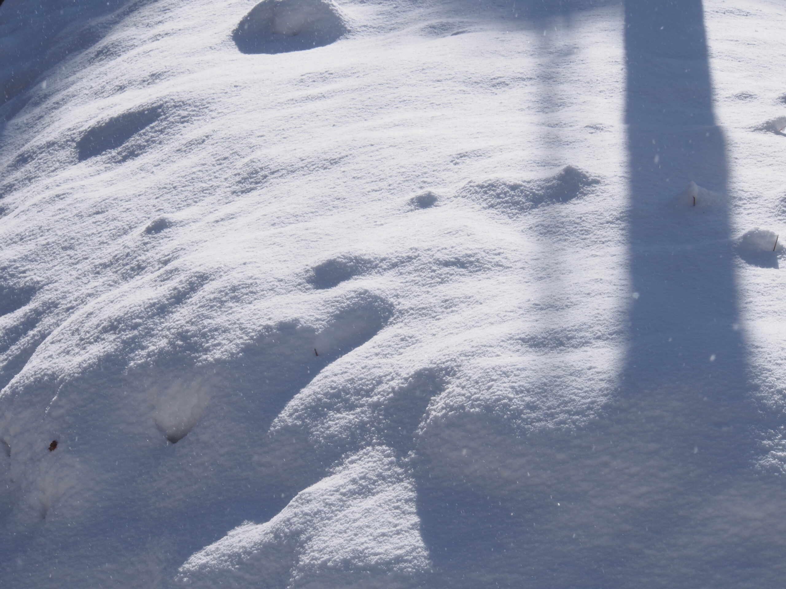 マイナス30℃の楽園!? 極寒のオタワで熱く盛りあがれ！旅行LEON レオン