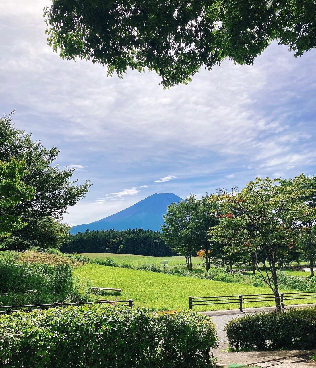 富士宮市 道の駅朝霧高原富士山展望台 初日の出静岡県 -