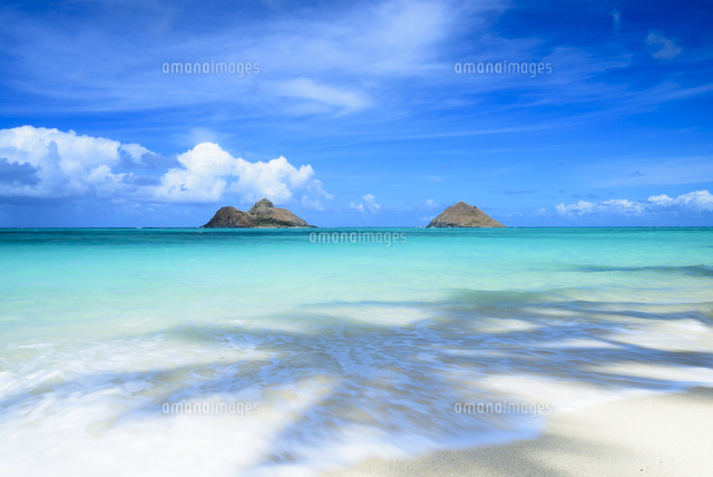 フリー写真南国のビーチに生えたヤシパブリックドメインQ：著作権フリー画像素材集