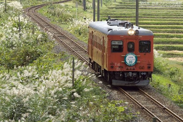 ω・´割りかし通っているこの撮影地もススキや彼岸花が秋の彩りをみせてます。暑さがないので電車を待ってる間は快適だし、コーヒーもホットを飲む気分になります。言うてアイスコーヒーばっか飲んでますけどね。コンビニコーヒーはローソン派秋めいてきた鉄道写真