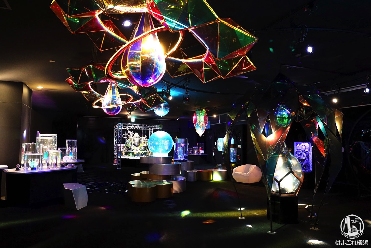 横浜ワーポの水族館にカエルの新エリア誕生！オリジナルドリンクに3種類の新味はまこれ横浜