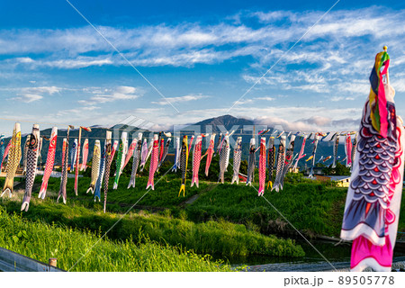 鈴川鯉のぼりまつり ＜神奈川県＞こいのぼりまつり 開催日時・アクセス・駐車場情報など全国ショッピングモール・商業施設検索サイト