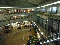 那覇空港国内線ターミナルの屋内展望フロアから撮影できる飛行機写真とりひこライフ