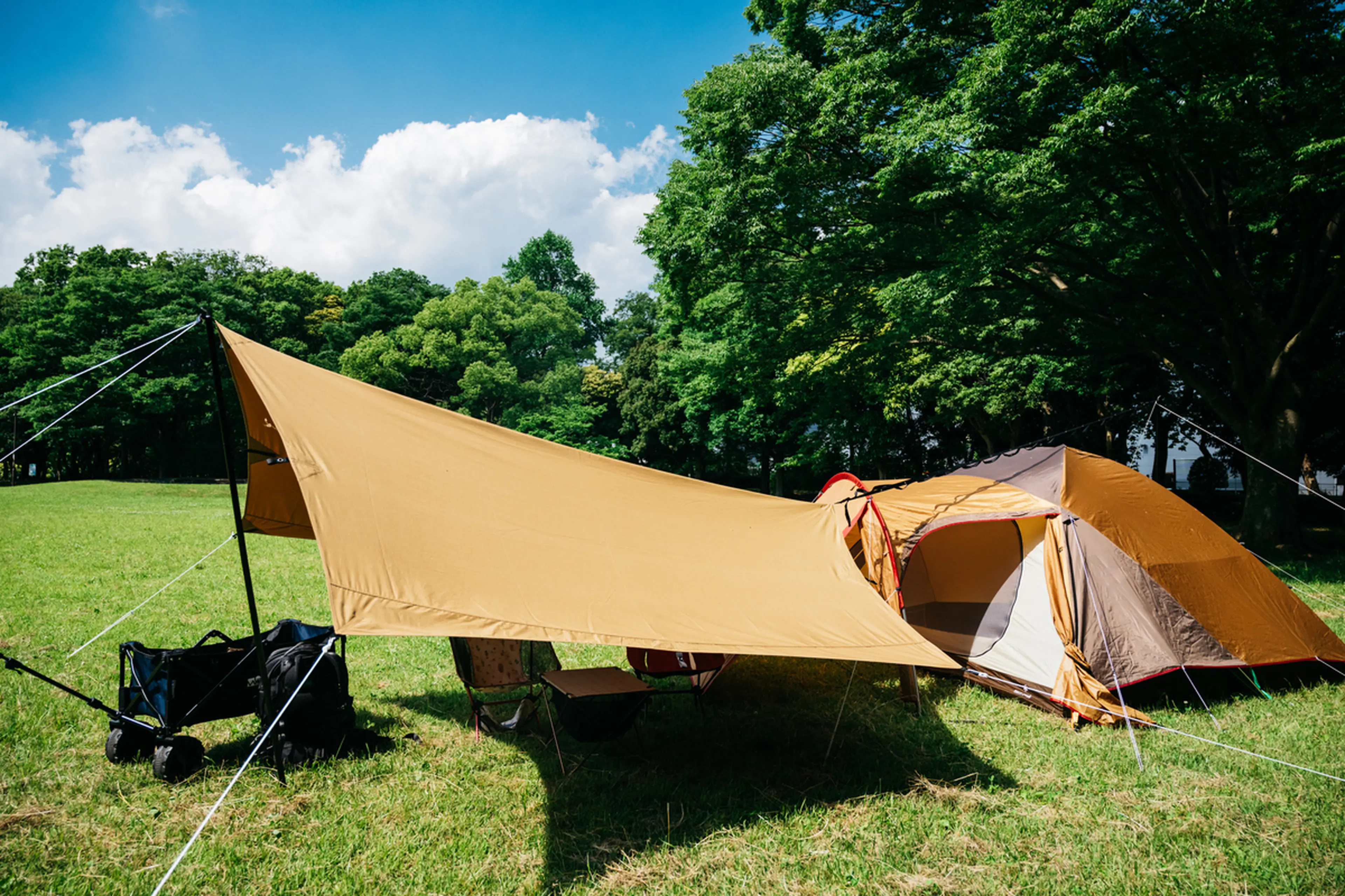 蔵王ロープウェイ - 蔵王ロープウェイ