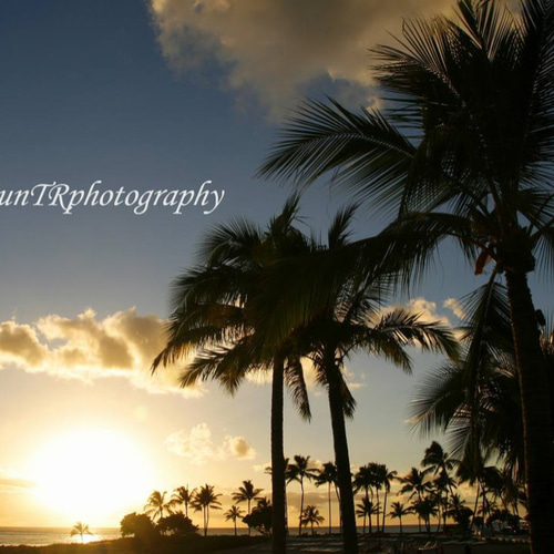 ハワイオアフ島」の写真素材6,085件の無料イラスト画像Adobe Stock