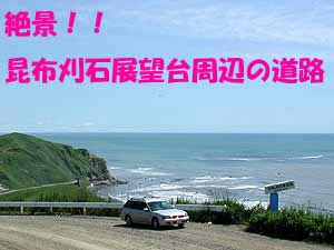 去哪儿网-一日游