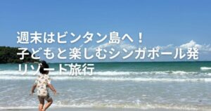 家族でアンコールワット トラブル忘れて総集編 』シェムリアップ