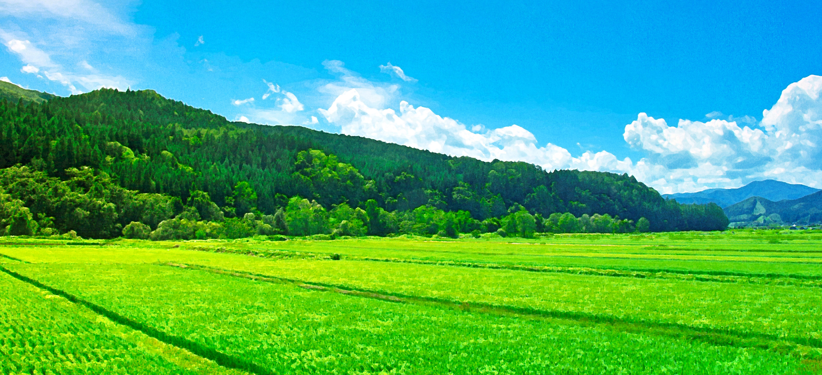 Japanese Rural Life Adventure –