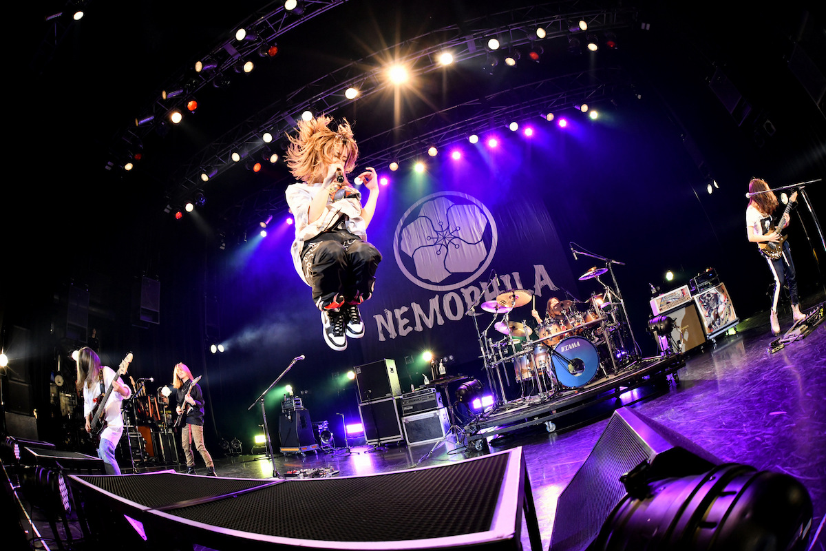 LiveNEMOPHILA Official Website