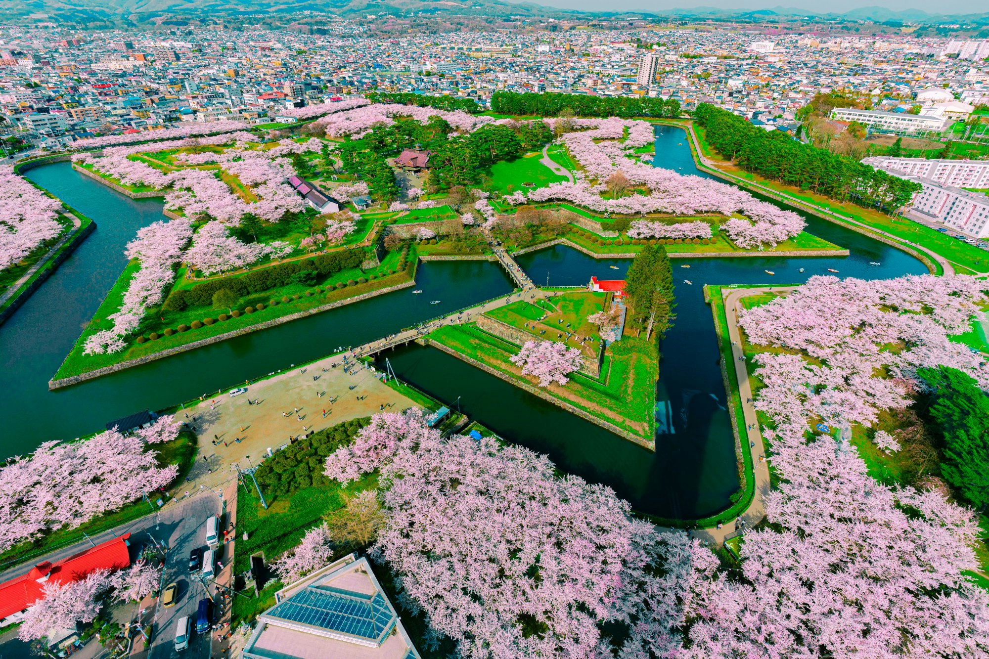 2025 函館 五稜郭公園で桜のお花見最新の開花状況やライトアップは？火気は使える？Kitaiko