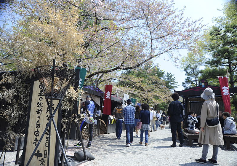約1500灯が会津若松市の鶴ヶ城公園を照らす 桜のライトアップ点灯式・福島県 2025年4月7日掲載