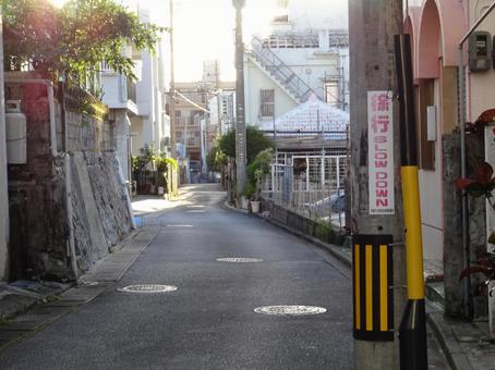 奈良の道狭い!!personal hair ももいろかぶとむし