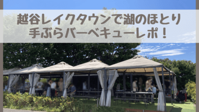 キャッスルレイクからハートレイクへシャスタ・リトリート - リトリートASTRORATIO