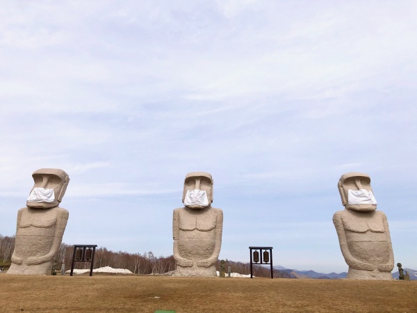 真駒内滝野霊園のラベンダー満開