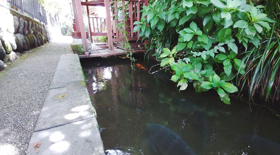 2025年 いがわ小径 -